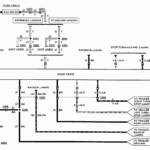 Toyota Trailer Wiring Harness Diagram Trailer Wiring Diagram